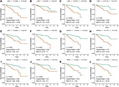 Determining the Prognostic Value of Spliceosome-Related Genes in Hepatocellular Carcinoma Patients